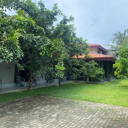 Negombo 146 Homestay エクステリア 写真