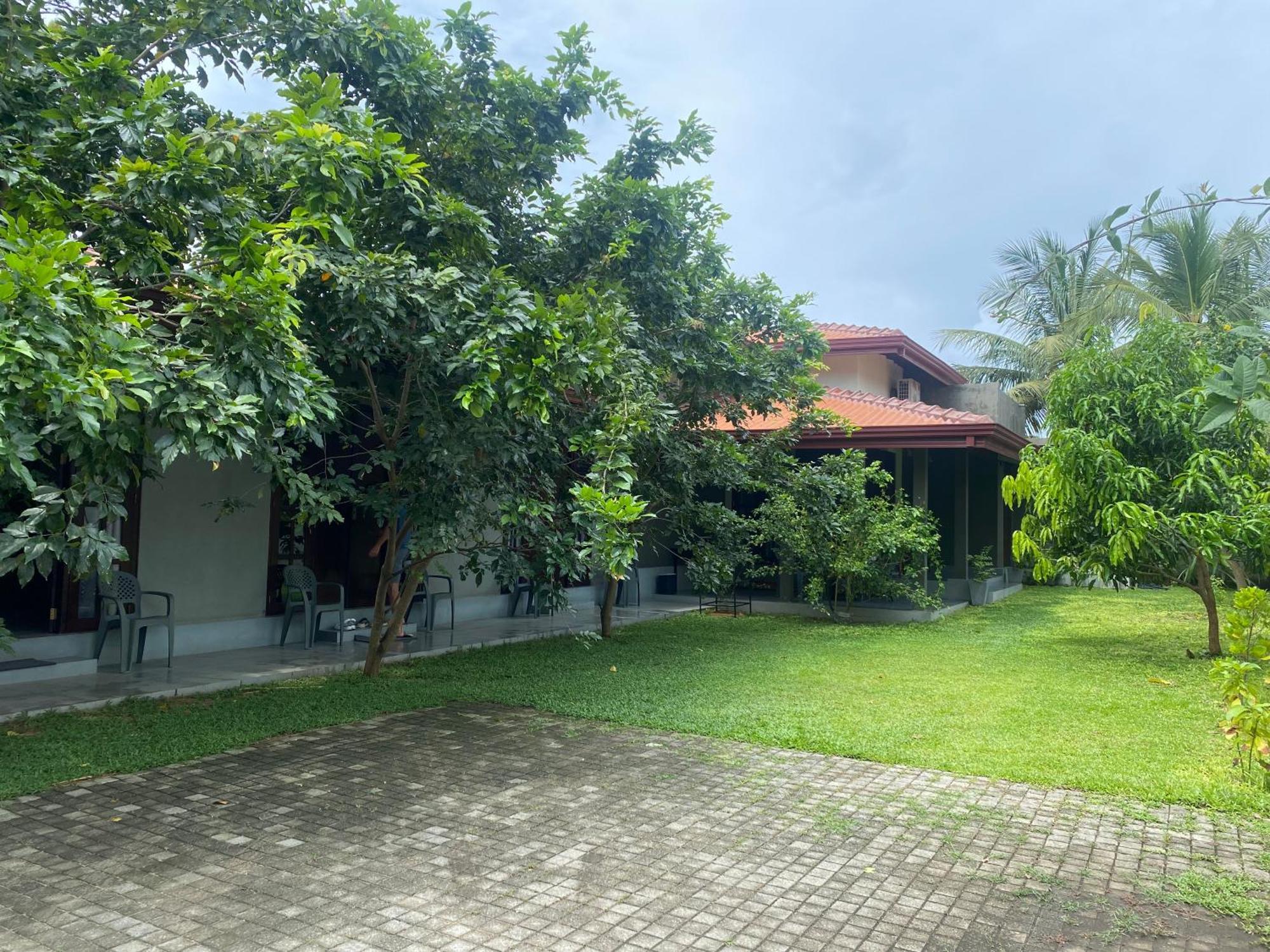 Negombo 146 Homestay エクステリア 写真