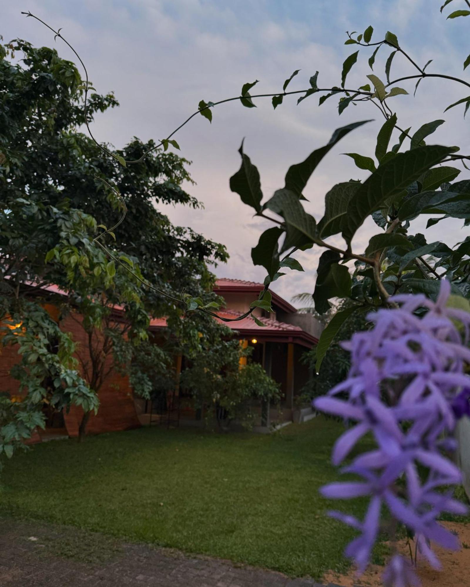 Negombo 146 Homestay エクステリア 写真